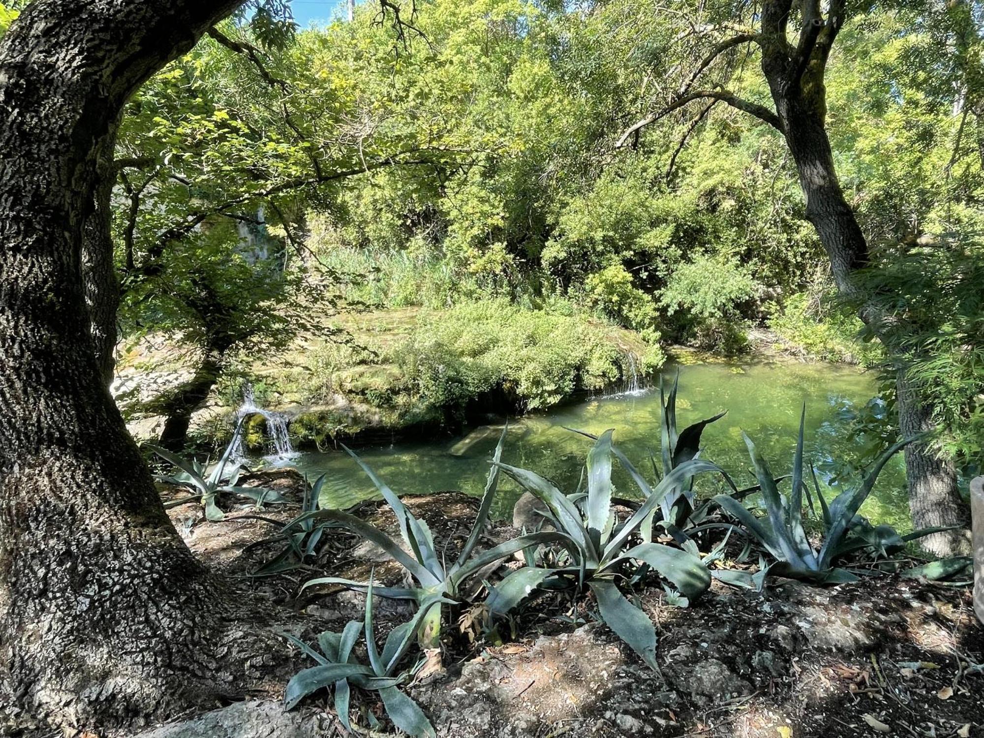 Le Domaine De La Tuilerie - Gite De Charme En Bord De Riviere Avec Piscine Servies-en-Val Cameră foto